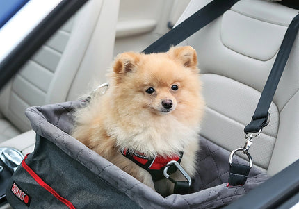 KONG Travel Secure Booster Seat – Elevated Car Seat, 40x30x20cm, Holds Up to 12kg