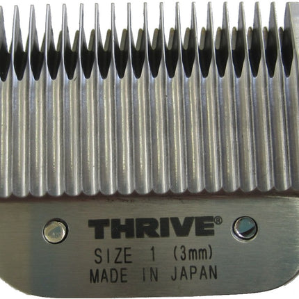 Collection image for: Thrive