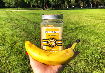 Kiwi Walker Banana Snacks 70g – 100% Freeze-Dried Natural Banana, Single-Ingredient Treats