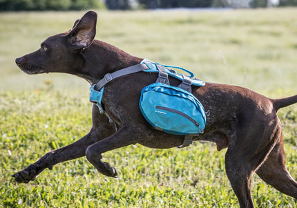 Kurgo Baxter Backpack 3.75L Blue – Adjustable Saddlebags, Lightweight and Durable Design