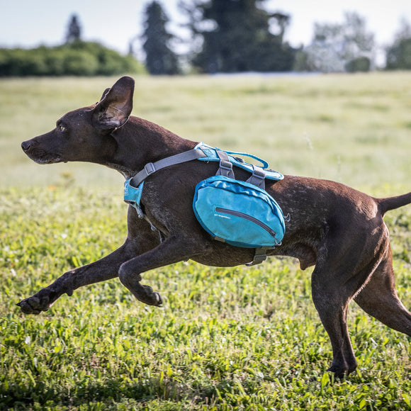 Kurgo Baxter Backpack 3.75L Blue – Adjustable Saddlebags, Lightweight and Durable Design