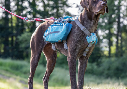 Kurgo Baxter Backpack 3.75L Blue – Adjustable Saddlebags, Lightweight and Durable Design