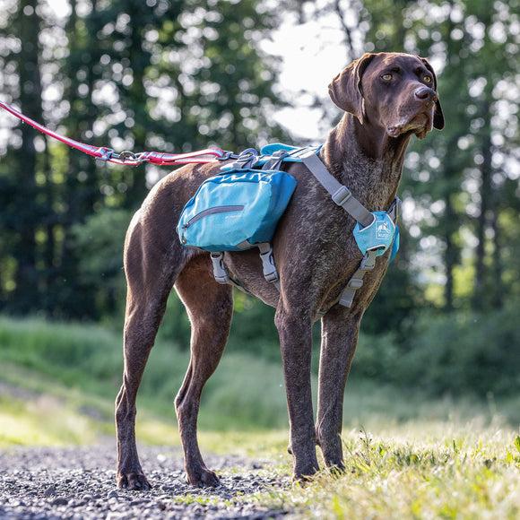 Kurgo Baxter Backpack 3.75L Blue – Adjustable Saddlebags, Lightweight and Durable Design