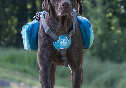 Kurgo Baxter Backpack 3.75L Blue – Adjustable Saddlebags, Lightweight and Durable Design