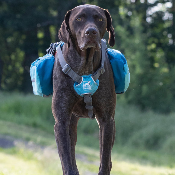 Kurgo Baxter Backpack 3.75L Blue – Adjustable Saddlebags, Lightweight and Durable Design