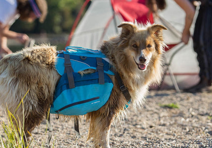 Kurgo Baxter Backpack 3.75L Blue – Adjustable Saddlebags, Lightweight and Durable Design