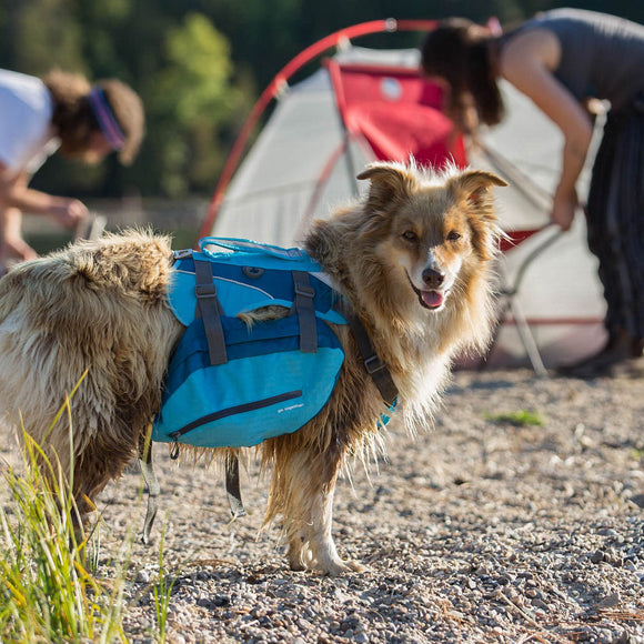 Kurgo Baxter Backpack 3.75L Blue – Adjustable Saddlebags, Lightweight and Durable Design