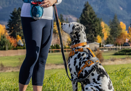 Kurgo Journey Air Harness Orange – Lightweight Breathable Running Harness, Small Size