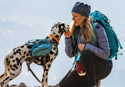 Kurgo Big Baxter Backpack 7.5L Blue – Adjustable Saddlebags, Durable Design for Large Breeds