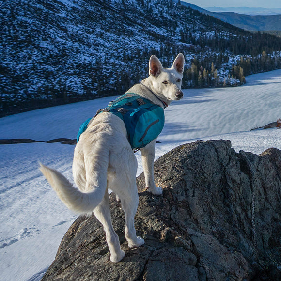 Kurgo Big Baxter Backpack 7.5L Blue – Adjustable Saddlebags, Durable Design for Large Breeds