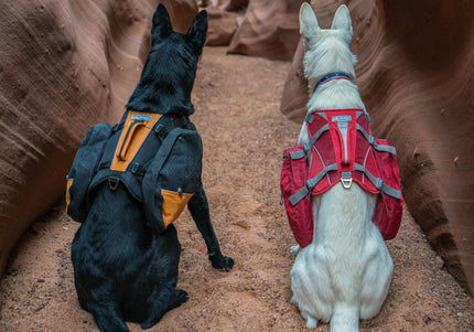 Kurgo Big Baxter Backpack 7.5L Black – Adjustable Saddlebags, Durable Design for Large Breeds