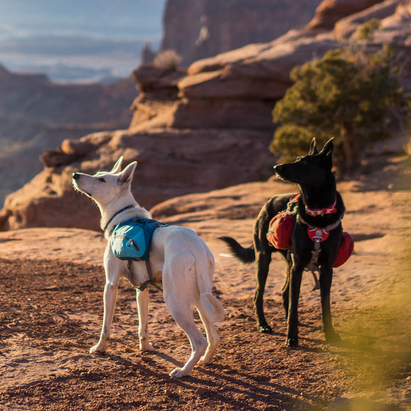 Kurgo Big Baxter Backpack 7.5L Blue – Adjustable Saddlebags, Durable Design for Large Breeds
