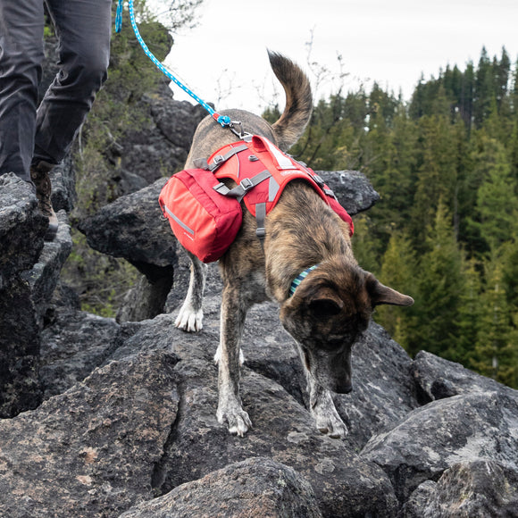 Kurgo Big Baxter Backpack 7.5L Red – Adjustable Saddlebags, Durable Design for Large Breeds