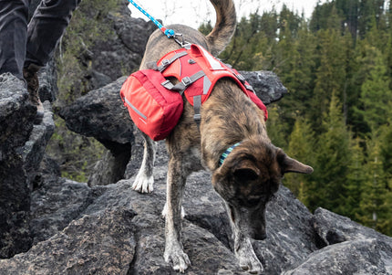 Kurgo Baxter Backpack 3.75L Red – Adjustable Saddlebags, Lightweight Design for Outdoor Adventures