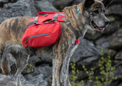 Kurgo Baxter Backpack 3.75L Red – Adjustable Saddlebags, Lightweight Design for Outdoor Adventures