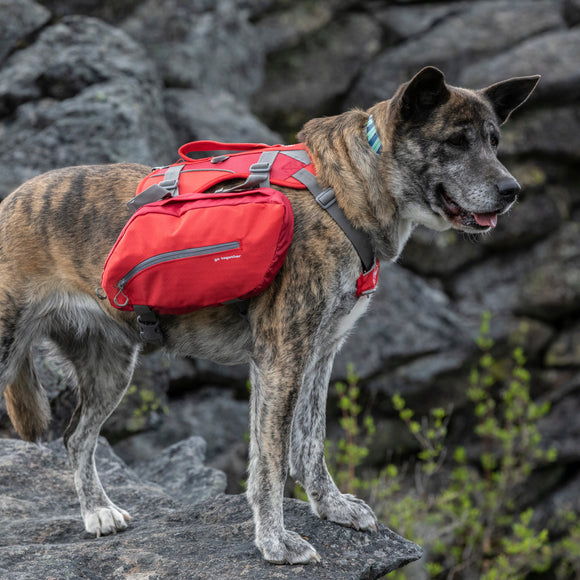 Kurgo Baxter Backpack 3.75L Red – Adjustable Saddlebags, Lightweight Design for Outdoor Adventures