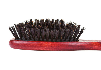 Blovi Red Wood Grooming Brush 17.5cm – Small Natural Bristle Tool for Short or Thin Coats