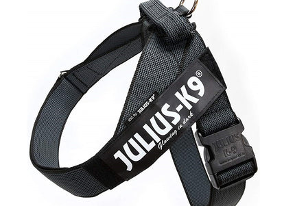 Julius-K9 IDC Color&Gray Belt Harness – Adjustable Black Mini Harness with Durable Webbing
