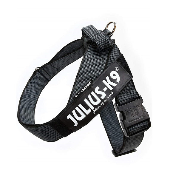 Julius-K9 IDC Color&Gray Belt Harness – Adjustable Black Mini Harness with Durable Webbing