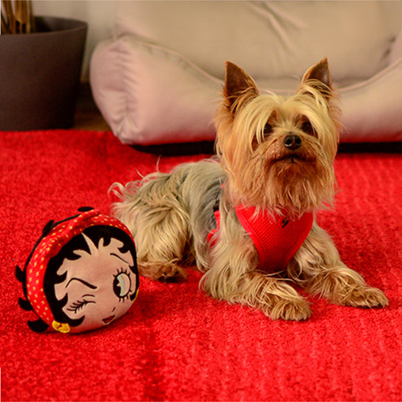 Dashi Betty XXI Plush Squeaker Toy – Soft 13cm Betty Boop Head, Durable Fun