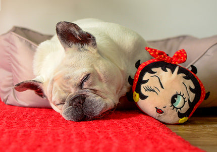 Dashi Betty XXI Plush Squeaker Toy – Soft 13cm Betty Boop Head, Durable Fun