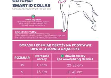 Max&Molly GOTCHA! Smart ID Matrix 2.0 Collar – Blue QR-Enabled Adjustable Dog Collar, XS