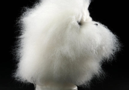 Mr. Jiang Bichon Head Hair – Soft Replacement Fiber for Grooming Practice Head