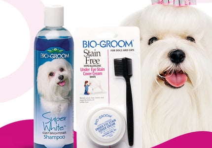 Bio-Groom Stain Free Paste and Super White Shampoo Set – Brightening Formula for White Coats, 20g + 355ml