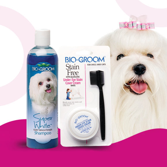 Bio-Groom Stain Free Paste and Super White Shampoo Set – Brightening Formula for White Coats, 20g + 355ml