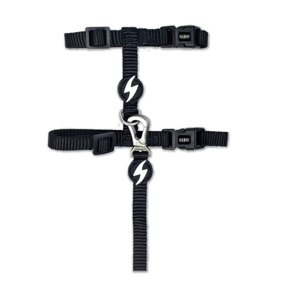 Dashi Solid Cat Harness and Leash Set – Adjustable Brown Design, Secure and Comfortable