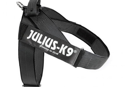 Julius-K9 IDC Color&Gray Belt Harness – Adjustable Black Mini Harness with Durable Webbing