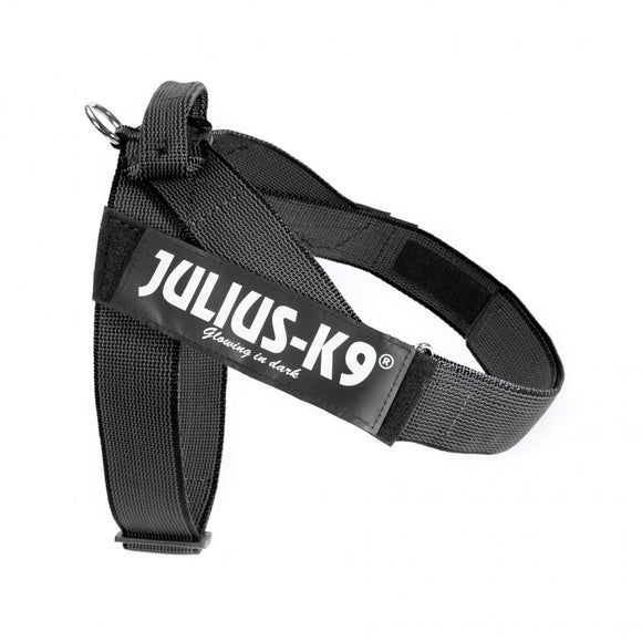 Julius-K9 IDC Color&Gray Belt Harness – Adjustable Black Mini Harness with Durable Webbing
