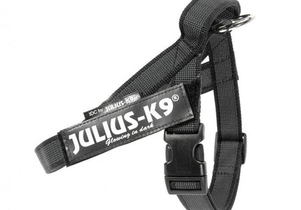 Julius-K9 IDC Color&Gray Belt Harness – Adjustable Black Mini Harness with Durable Webbing