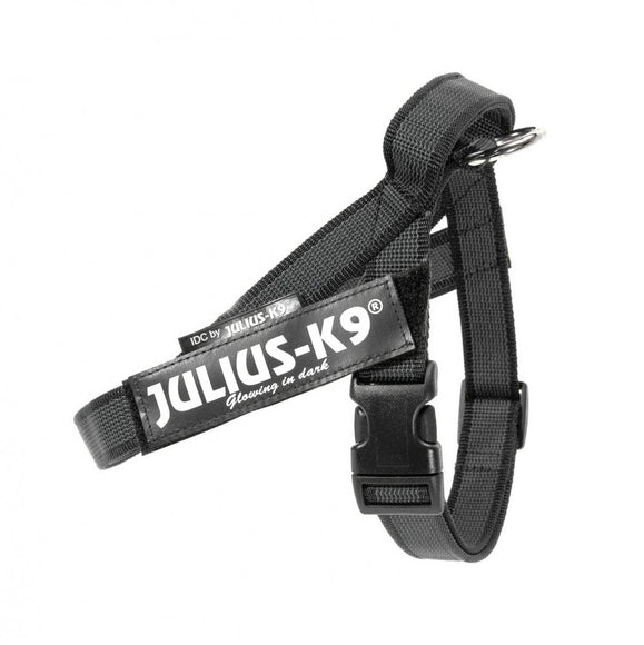 Julius-K9 IDC Color&Gray Belt Harness – Adjustable Black Mini Harness with Durable Webbing