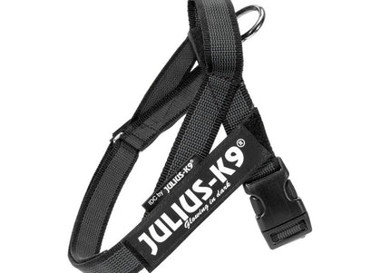Julius-K9 IDC Color&Gray Belt Harness – Adjustable Black Mini Harness with Durable Webbing
