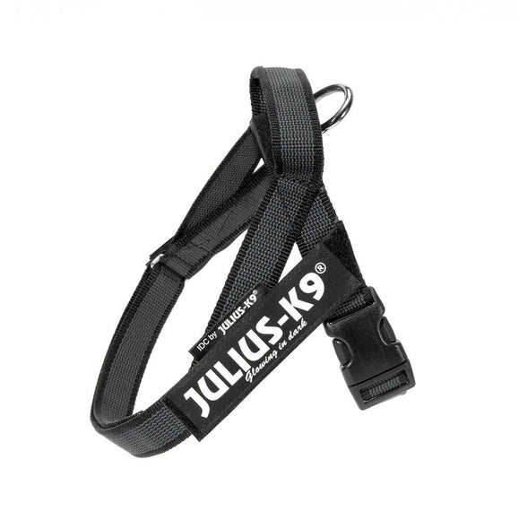 Julius-K9 IDC Color&Gray Belt Harness – Adjustable Black Mini Harness with Durable Webbing