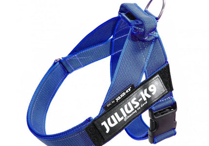 Julius-K9 IDC Color&Gray Belt Harness Blue – Adjustable Mini Size, Durable Design