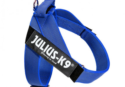 Julius-K9 IDC Color&Gray Belt Harness Blue – Adjustable Mini Size, Durable Design