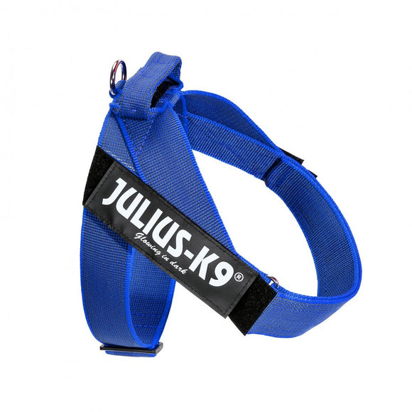 Julius-K9 IDC Color&Gray Belt Harness Blue – Adjustable Mini Size, Durable Design