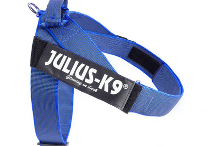 Julius-K9 IDC Color&Gray Belt Harness Blue – Adjustable Mini Size, Durable Design