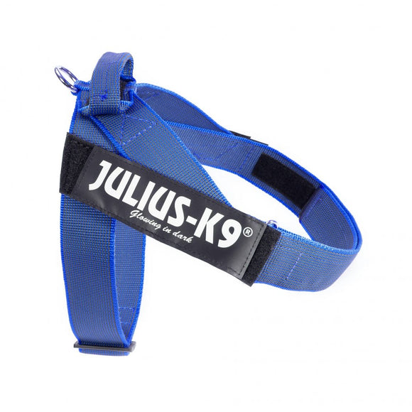 Julius-K9 IDC Color&Gray Belt Harness Blue – Adjustable Mini Size, Durable Design