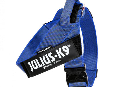 Julius-K9 IDC Color&Gray Belt Harness Blue – Adjustable Mini Size, Durable Design