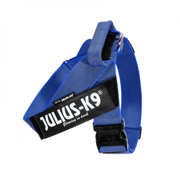 Julius-K9 IDC Color&Gray Belt Harness Blue – Adjustable Mini Size, Durable Design