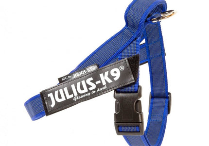 Julius-K9 IDC Color&Gray Belt Harness Blue – Adjustable Mini Size, Durable Design