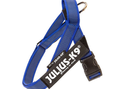 Julius-K9 IDC Color&Gray Belt Harness Blue – Adjustable Mini Size, Durable Design
