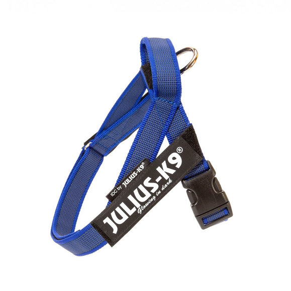 Julius-K9 IDC Color&Gray Belt Harness Blue – Adjustable Mini Size, Durable Design