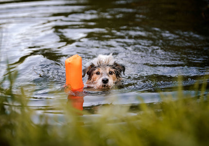 Julius-K9 Multidummie One Hand – Multifunctional Training Tug and Floating Water Toy