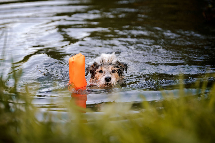 Julius-K9 Multidummie One Hand – Multifunctional Training Tug and Floating Water Toy