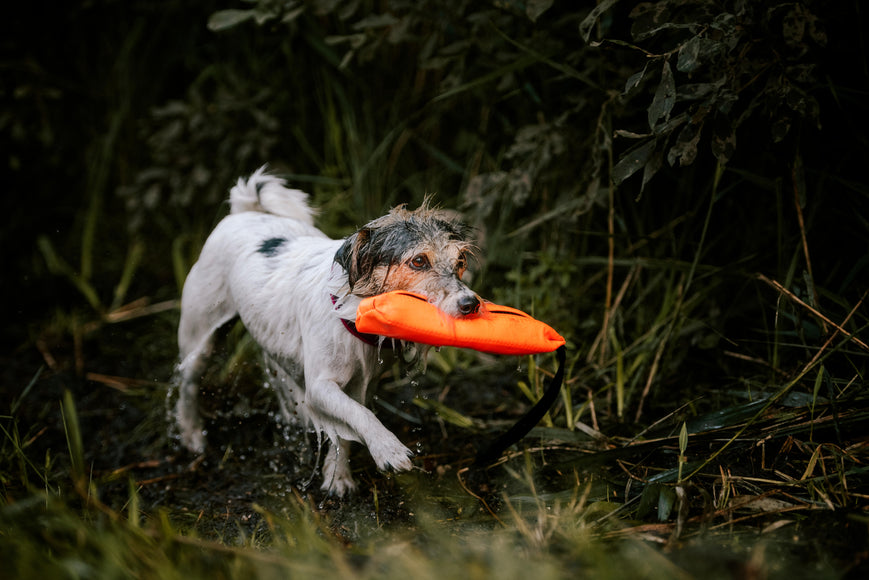 Julius-K9 Multidummie One Hand – Multifunctional Training Tug and Floating Water Toy