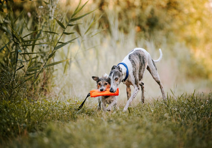 Julius-K9 Multidummie One Hand – Multifunctional Training Tug and Floating Water Toy